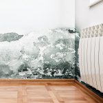 Rising Damp Treatment Southampton