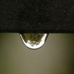 Damp Treatment Company Michelmarsh