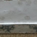 Rising Damp Damage Michelmarsh